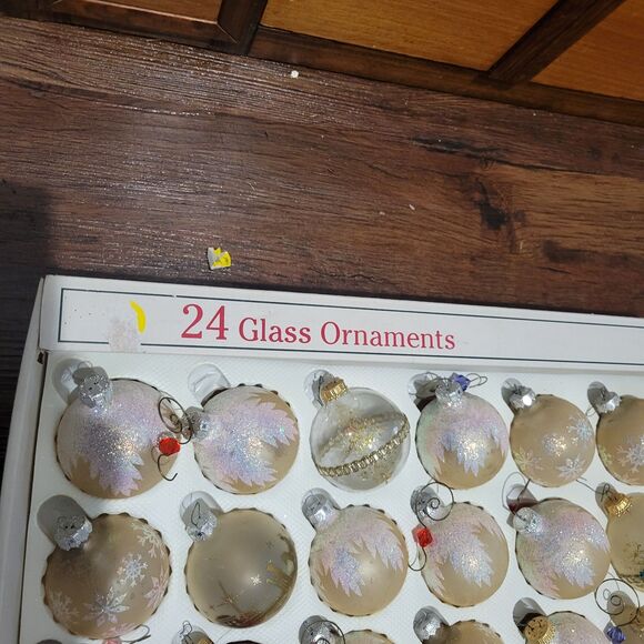 Glass Christmas Ornaments VINTAGE Lot 24 pcs boxed Rauch Ind. Frosted Kitschy - Picture 9 of 12